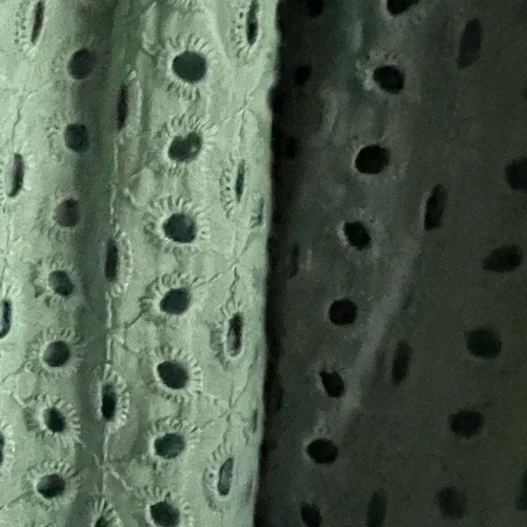 Karina Grimaldi Irina Eyelet Mini Dress in Sage size XS from Revolve - Picture 13 of 14